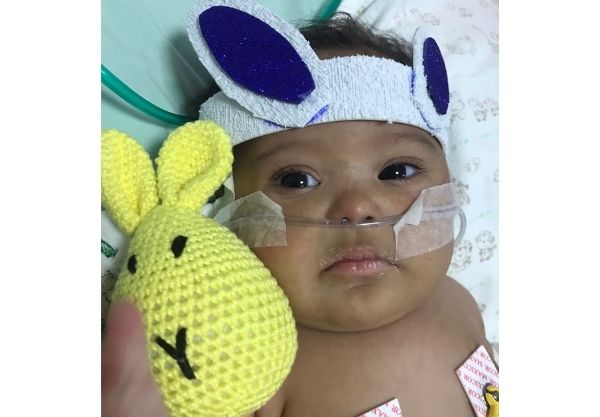 Bebês internados no Hospital Cemil recebem coelhinhos terapêuticos nesta Páscoa