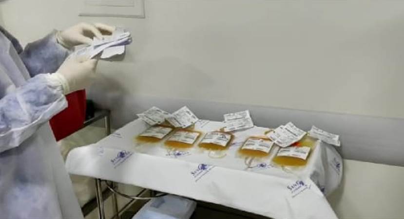 Cemil oferece tratamento de plasma convalescente para Covid-19